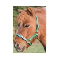 PVC Headstall foal