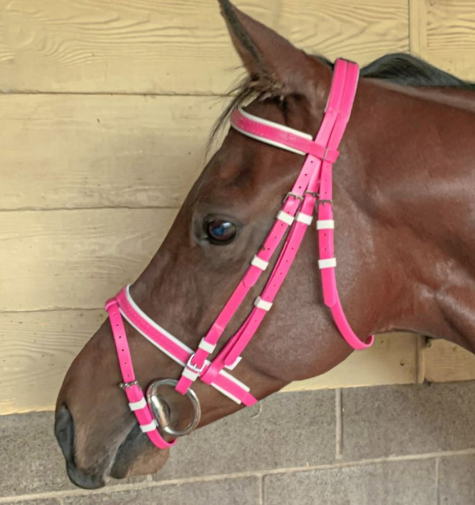 PVC Hanoverian Bridle , Colourful, Strong Bridles | Horses Warehouse