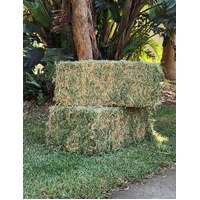 LUCERNE HAY SALE