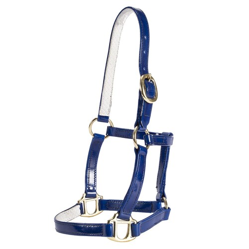 Mini PVC Halter [Size: Large Mini] [Colour: Blue]