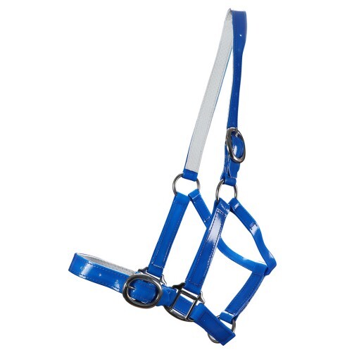 PVC Halter 25mm [Size: Full] [Colour: Blue]