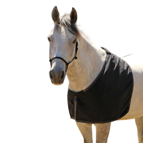 Taffeta Horse Bib [Size: Cob]